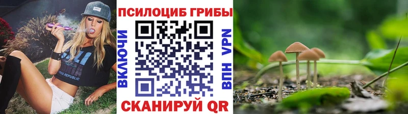 blacksprut зеркало  купить наркотики цена  Туран  Галлюциногенные грибы мицелий 